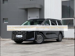 Nova versão Última versão BYD Xia MPV Nova Energia Alta Velocidade de 7 lugares Hybrid Gasoline EV Car