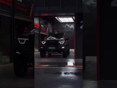 385Nm 185KW 252Ps 4WD 5 lugares 5 portas 2.0T tanque 400 SUV gasolina combustível carro novo