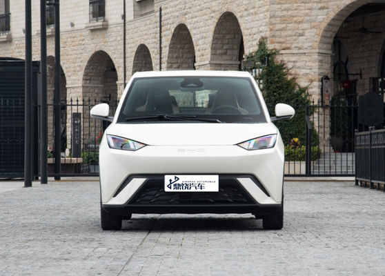 Modas personalizáveis Fabricante personalizado Auto BYD EV Carro Gaivão Carro